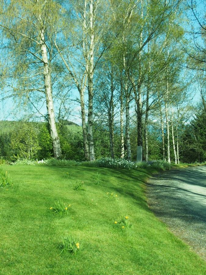 The Garden Room At Te Anau Country Accommodation Extérieur photo